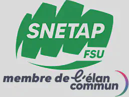 16-snetap.webp